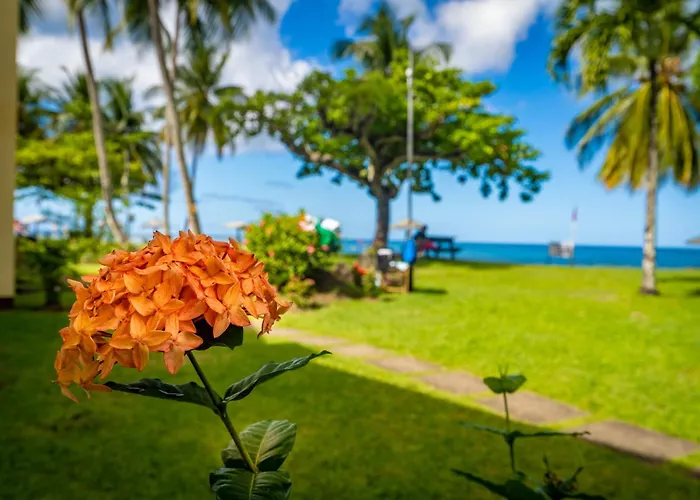 Black Rock Beach hotels