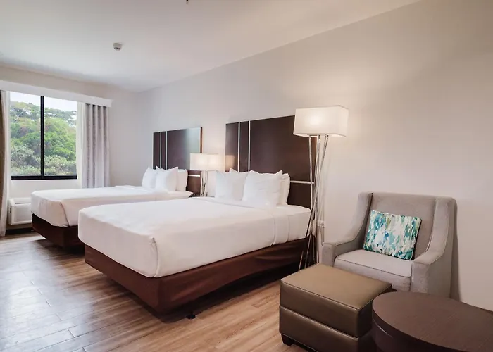 Charlotteville Hotels
