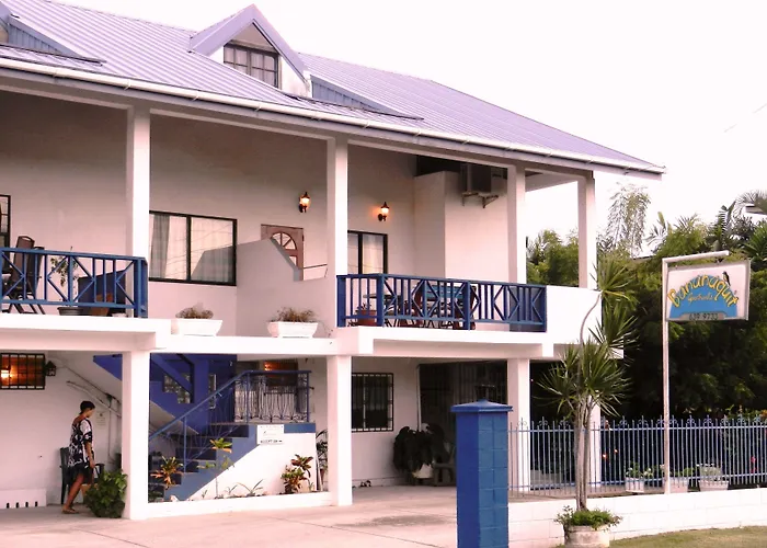 Bananaquit Tobago -Stay Near The Beach Crown Point